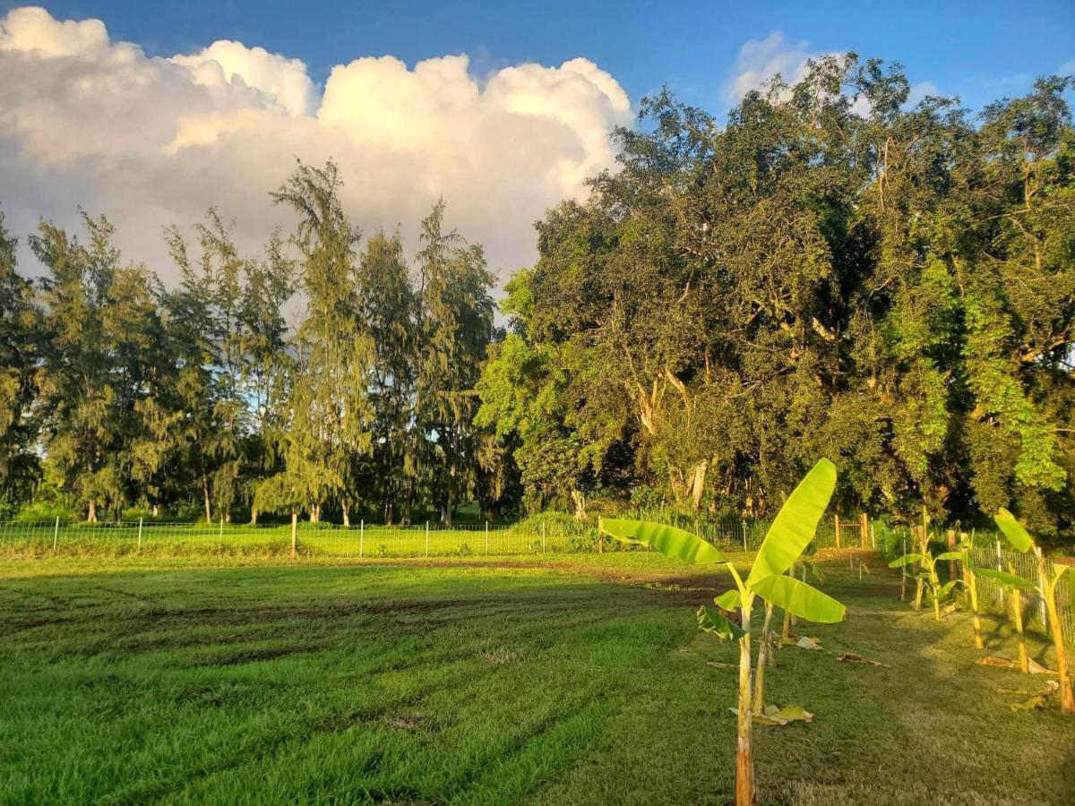 Maleka Farm: Tent Glamping North Shore Oahu Laie Exterior foto